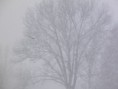 /album/winter-zima/p1010639-jpg1/